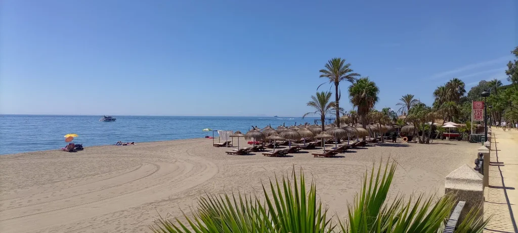 Playa de la Fontanilla urban beach promenade lined with palm trees in central Marbella