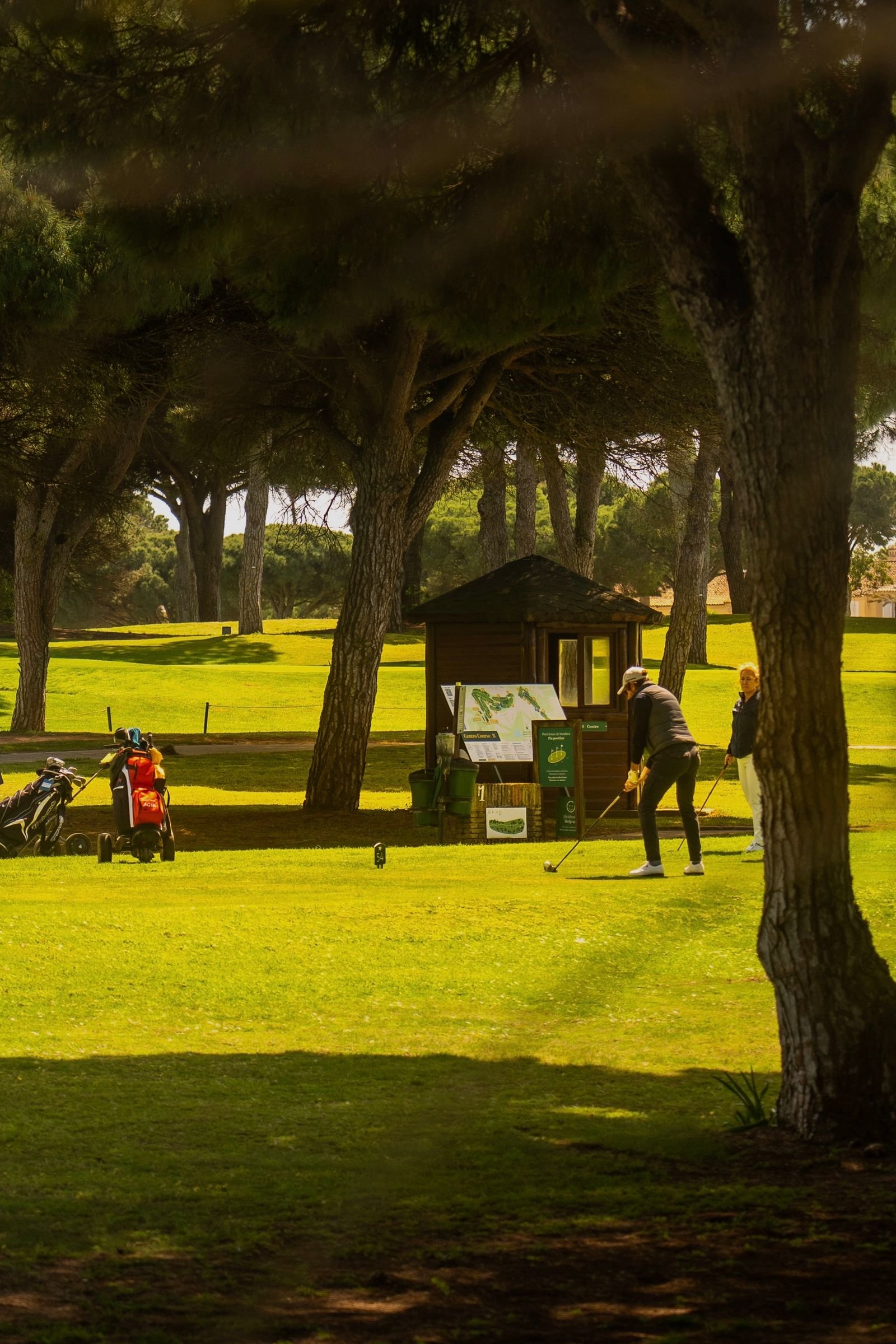 Golfers playing on a green, tree-lined course in Andalusia on a sunny day