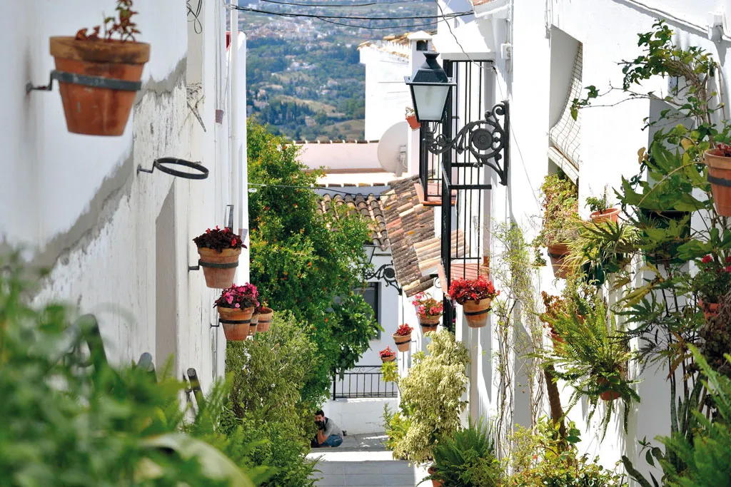 marbella in Spring 