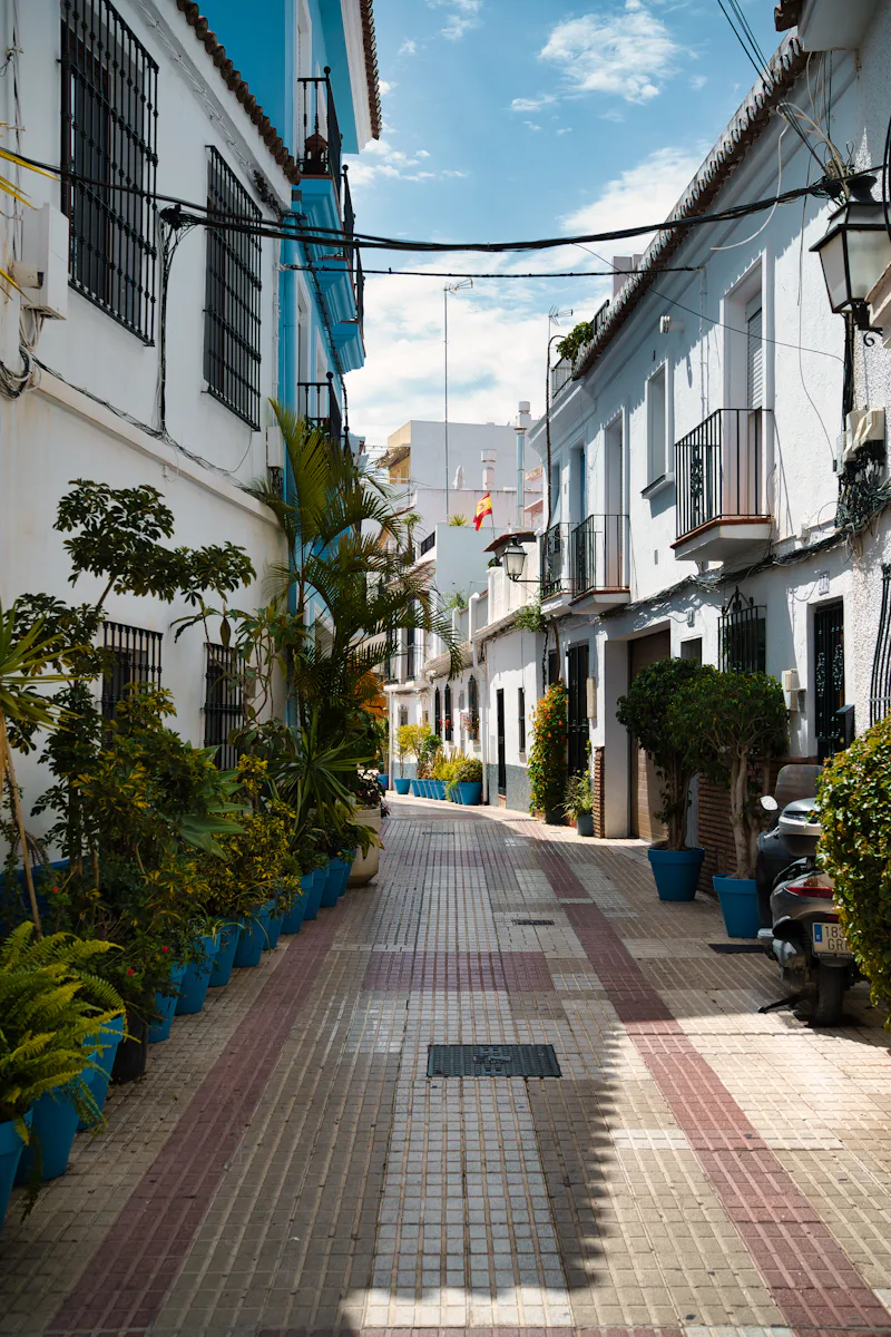 Narrow street lined with potted plants and white buildings in Marbella
