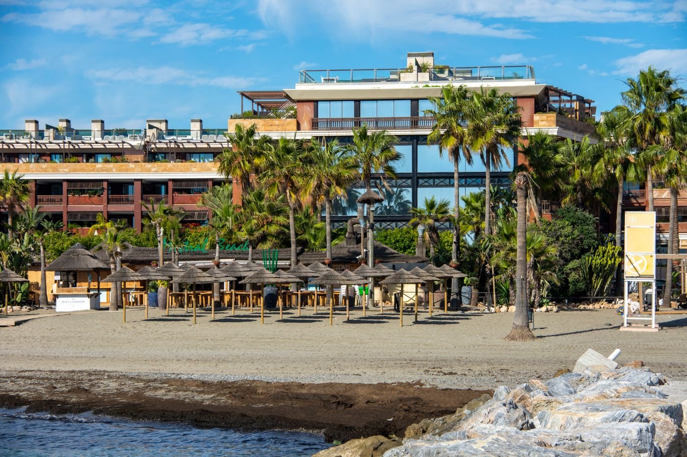 Beachfront promenade with palm trees in Marbella