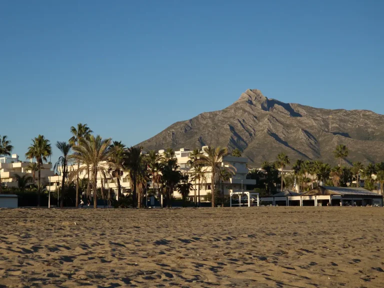 Marbella beach with palm trees and mountains in the background on a sunny day